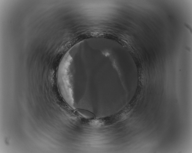 X0000099420319200806061001