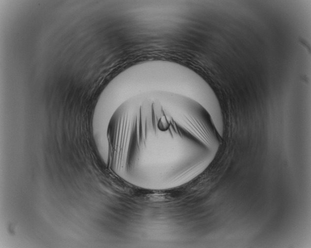 X0000099420320200806061001