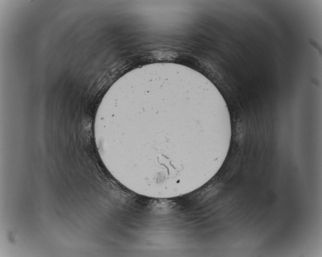 X0000099420321200806061001