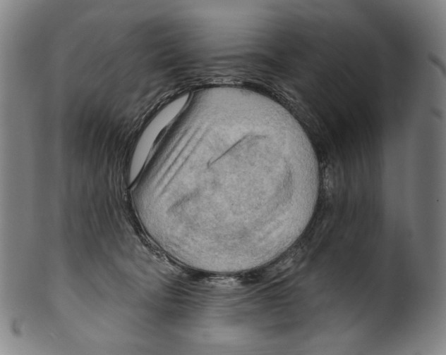 X0000099420322200806061001