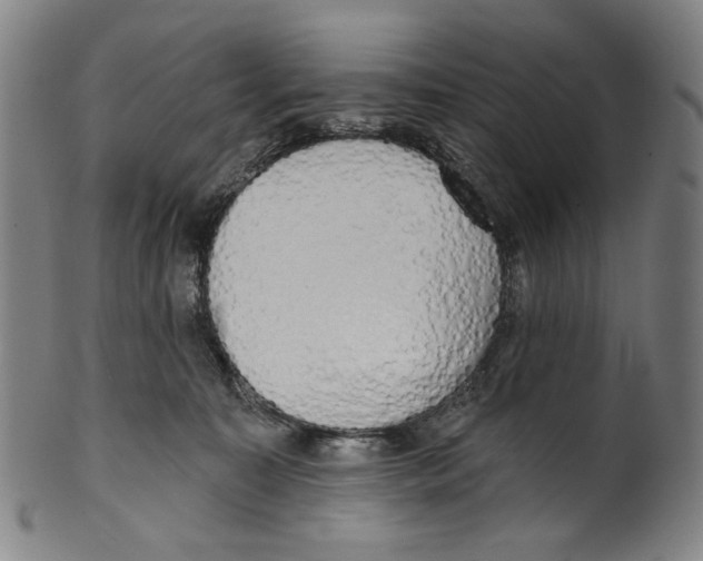 X0000099420323200806061001