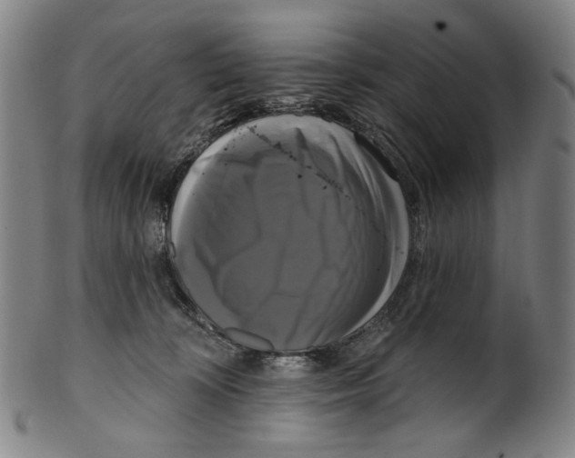 X0000099420324200806061001