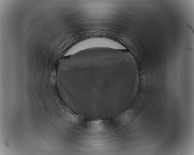 X0000099420325200806061001