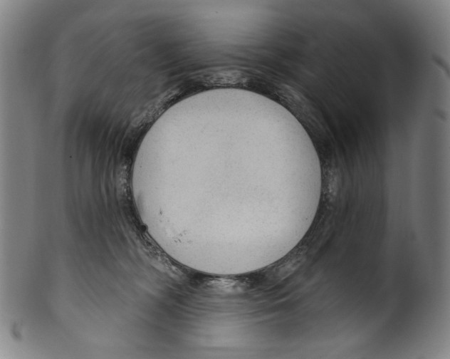 X0000099420326200806061001
