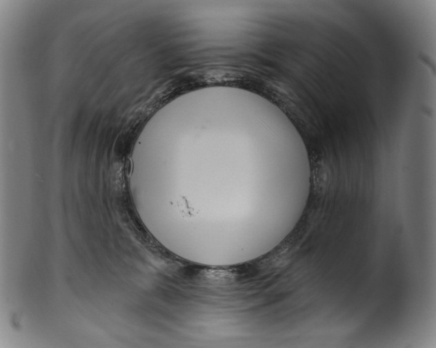 X0000099420327200806061001