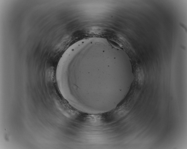 X0000099420328200806061001