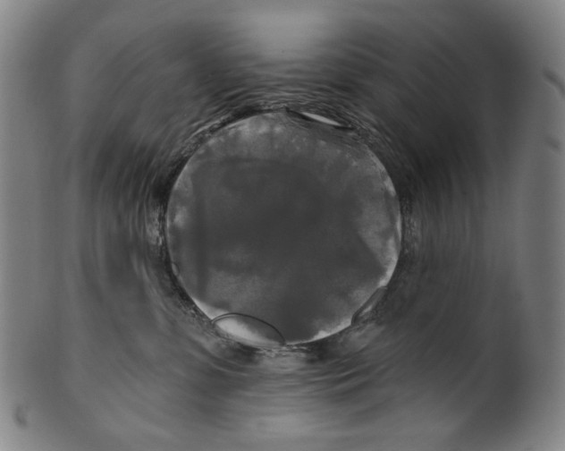 X0000099420331200806061001