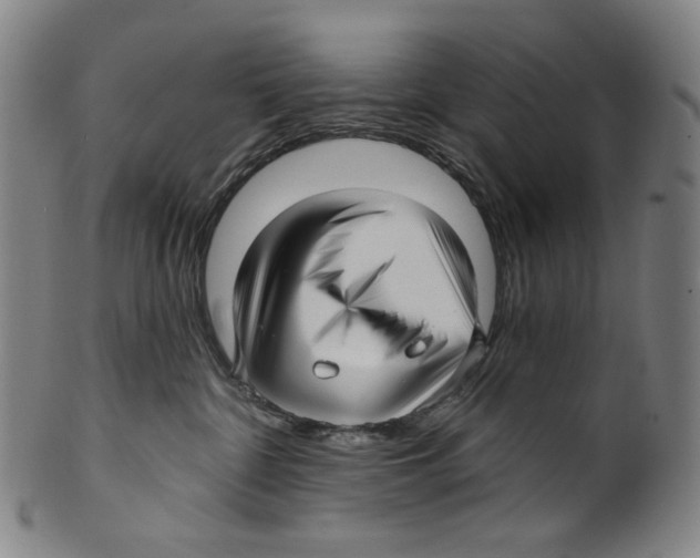 X0000099420332200806061001