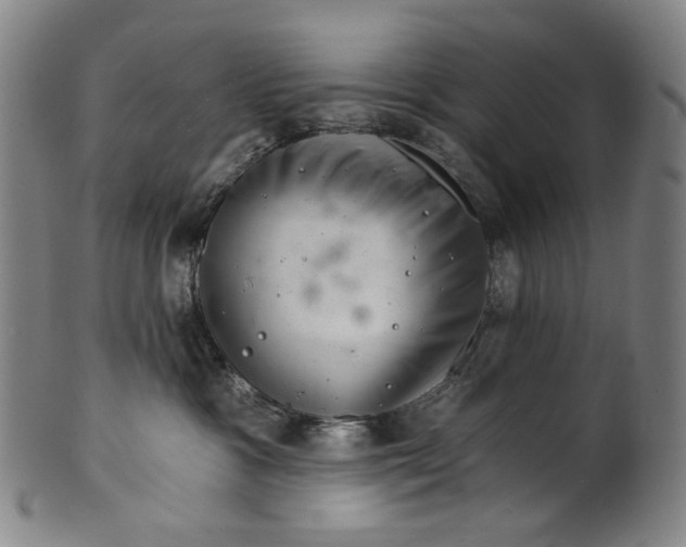 X0000099420333200806061001