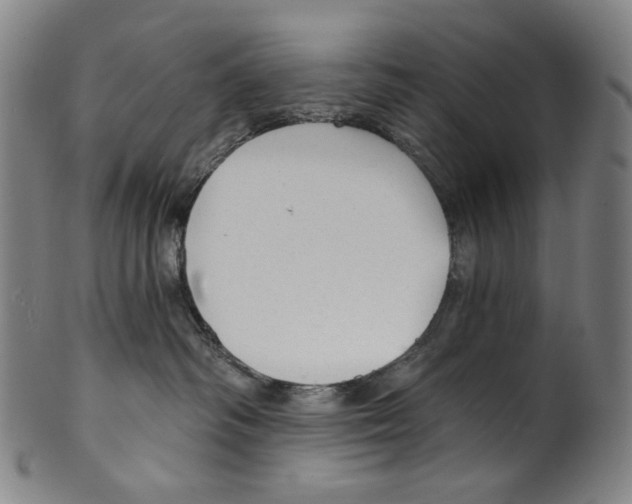 X0000099420334200806061001