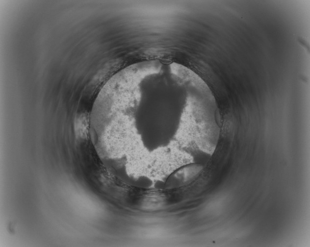 X0000099420335200806061001