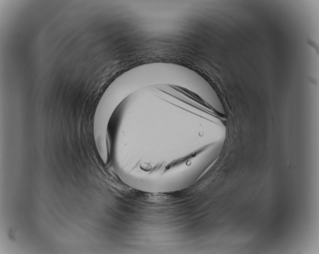 X0000099420336200806061001