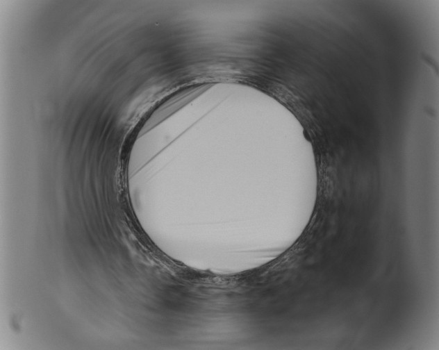 X0000099420338200806061000
