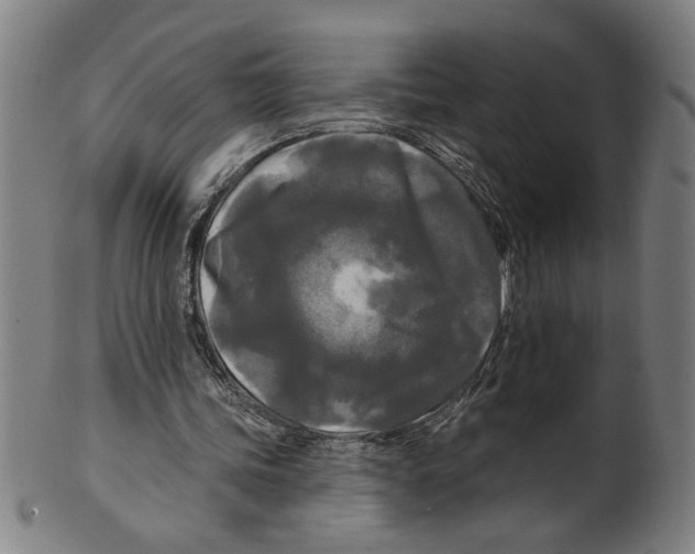X0000099420339200806061000