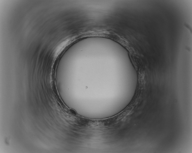 X0000099420340200806061000