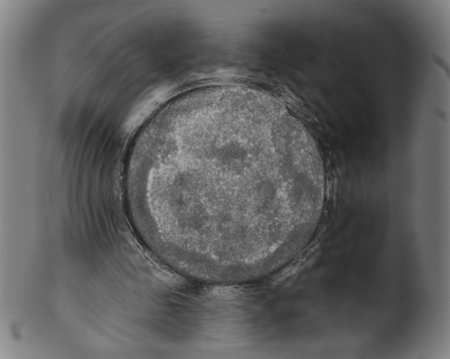 X0000099420341200806061000