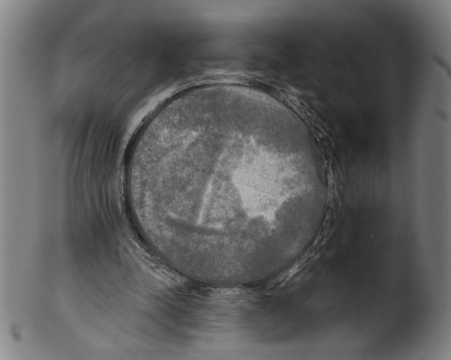 X0000099420342200806061000