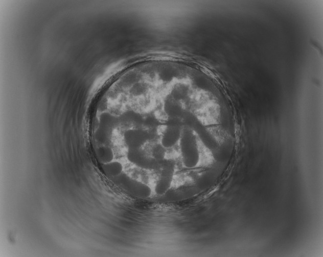X0000099420343200806061000