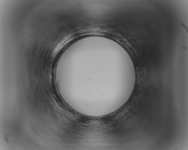 X0000099420344200806061000