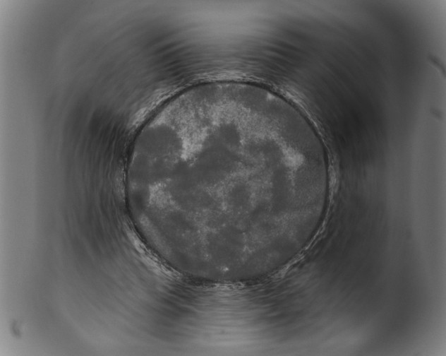 X0000099420345200806061000