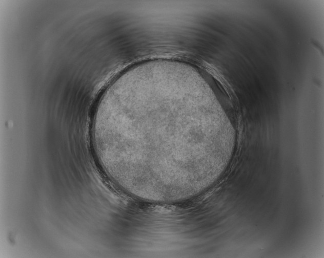 X0000099420346200806061000