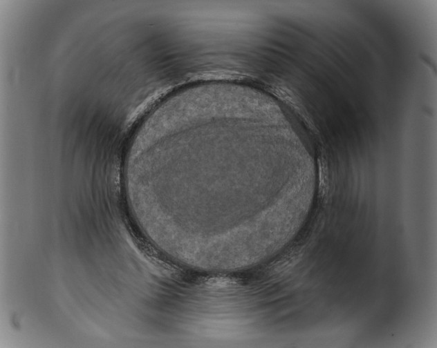 X0000099420348200806061000