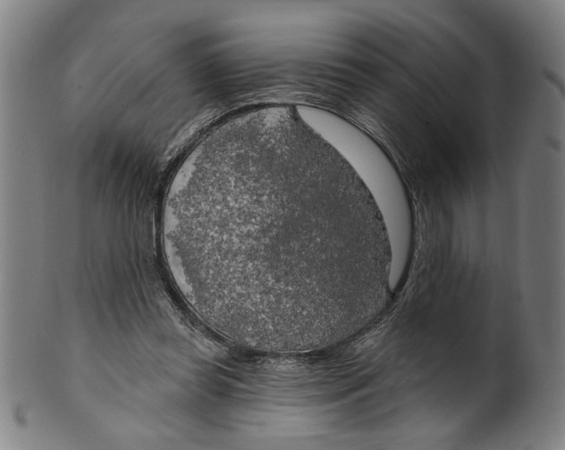X0000099420349200806061000
