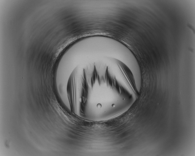 X0000099420350200806061000