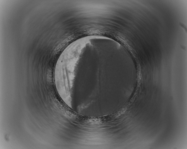 X0000099420353200806061000