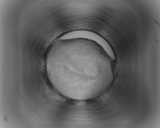 X0000099420355200806061001