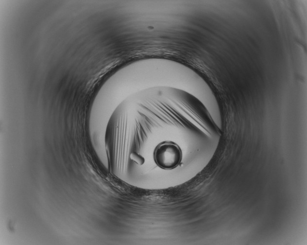 X0000099420356200806061001