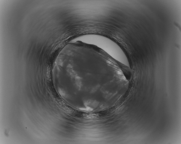 X0000099420359200806061001