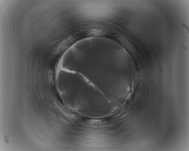 X0000099420361200806061001