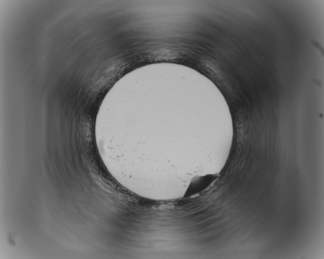 X0000099420362200806061001