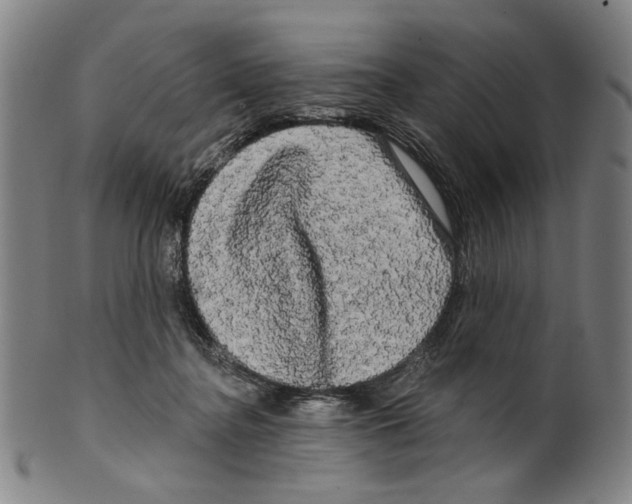 X0000099420364200806061001