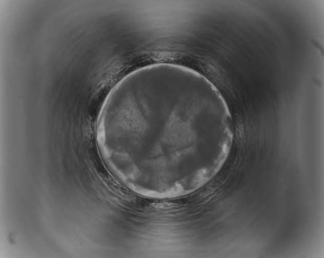 X0000099420367200806061001