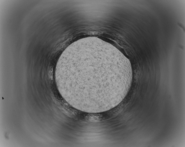 X0000099420368200806061001