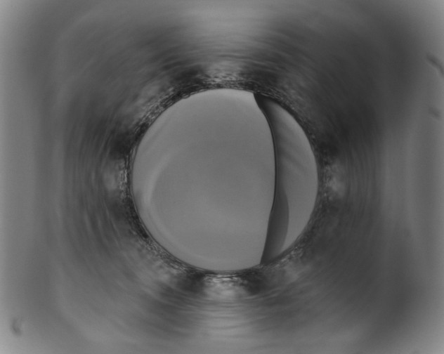 X0000099420372200806061001