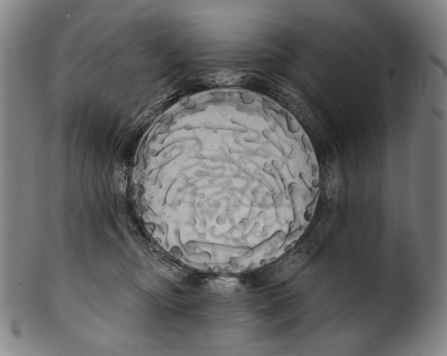 X0000099420374200806061001