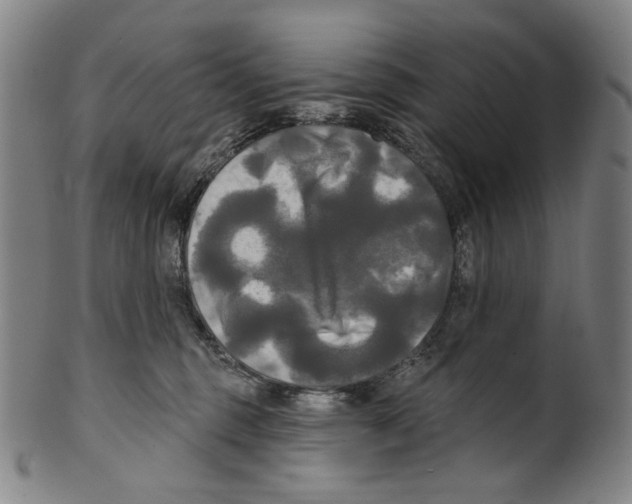 X0000099420375200806061001