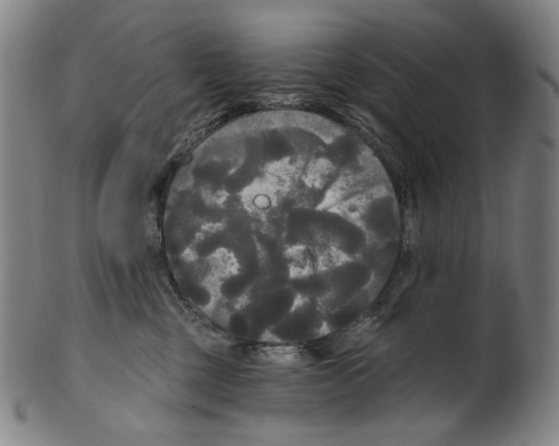 X0000099420377200806061001