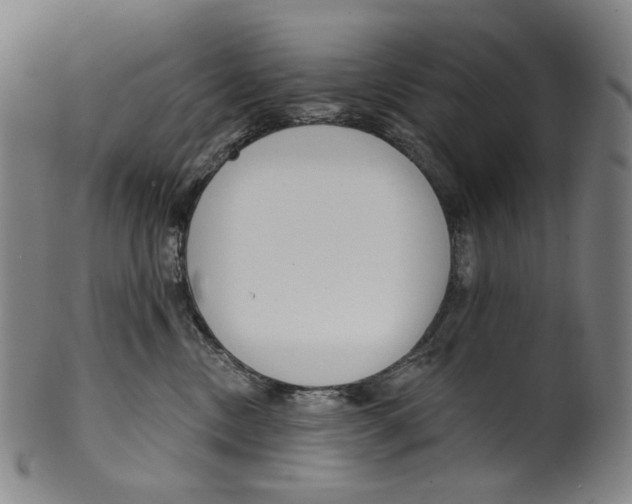 X0000099420378200806061001