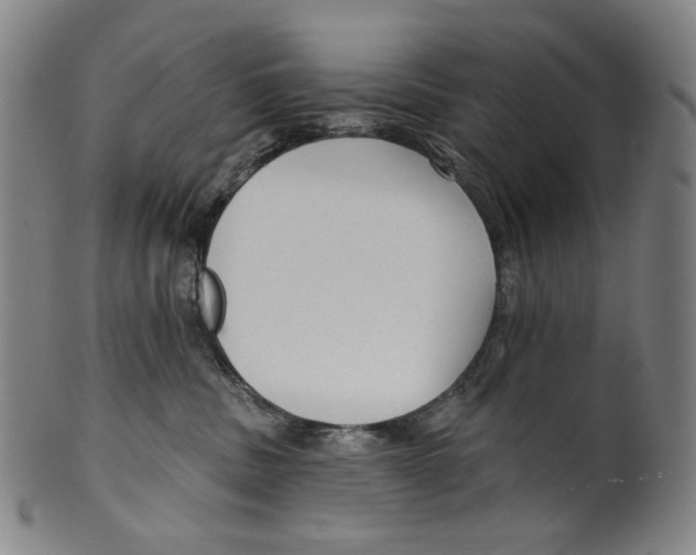 X0000099420379200806061001