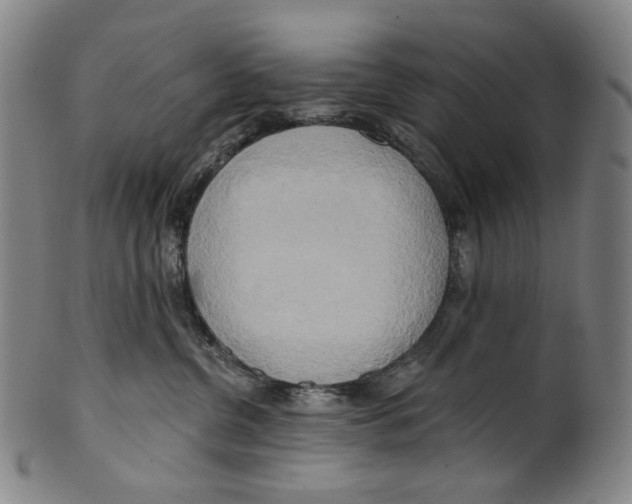 X0000099420380200806061001
