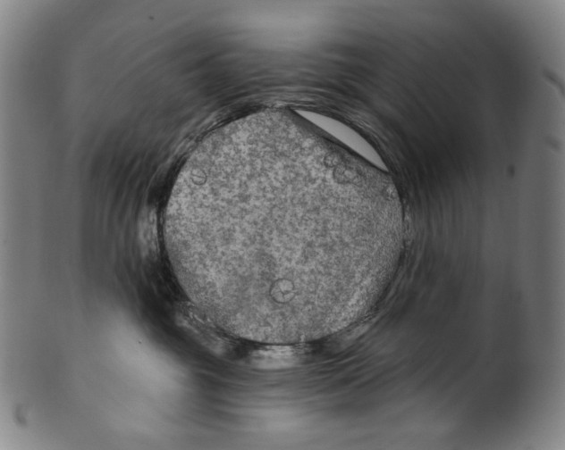 X0000099420381200806061001