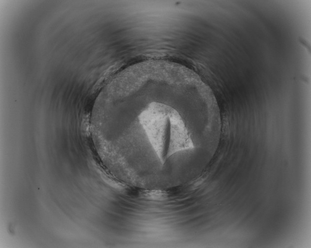 X0000099420383200806061001