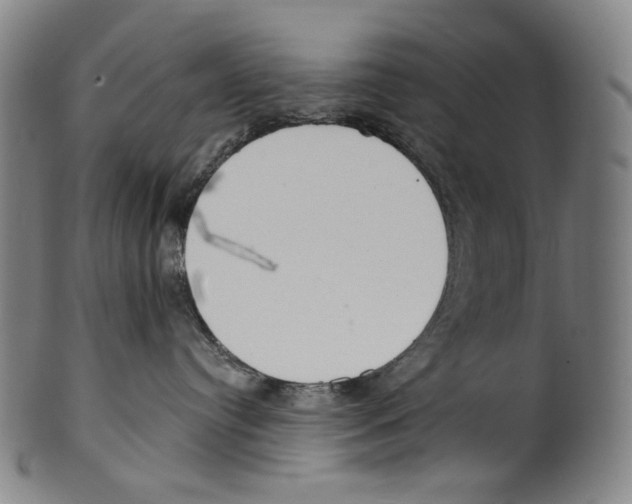 X0000099420384200806061001