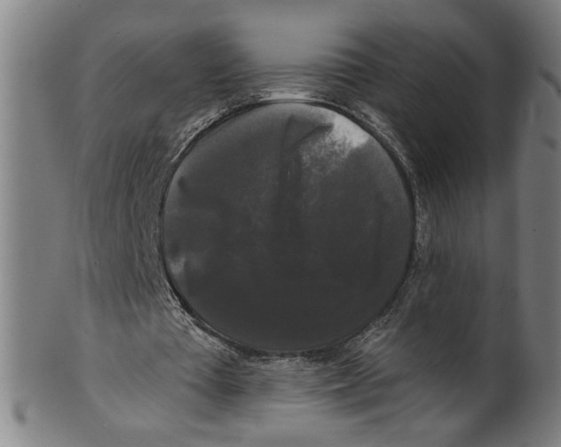 X0000099420385200806061000