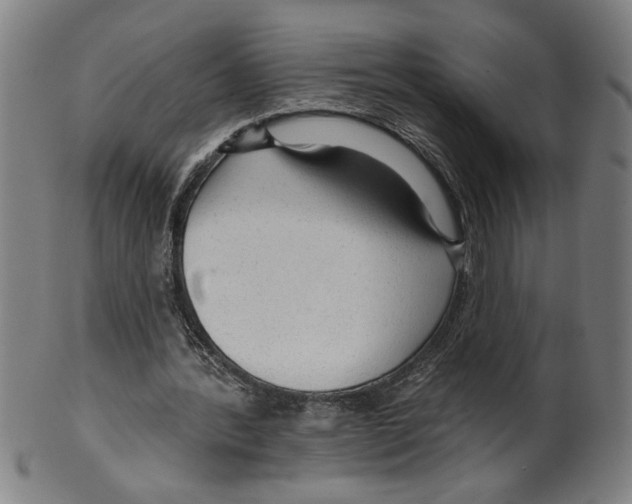X0000099420388200806061000