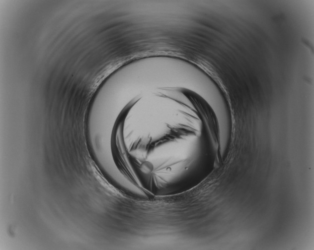 X0000099420389200806061000